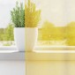 vidaXL Κουρτίνες Voile με Θηλιές 2 τεμ. Κίτρινες 140x140 εκ.