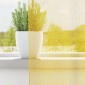 vidaXL Κουρτίνες Voile με Θηλιές 2 τεμ. Κίτρινες 140x260 εκ.
