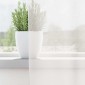 vidaXL Κουρτίνες Voile με βρόχους 2 τεμάχια Λευκό 140x225 cm