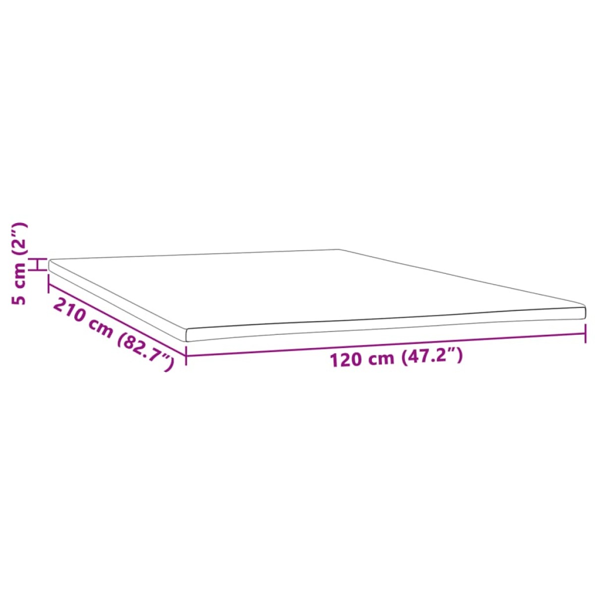 vidaXL Ανώστρωμα 120x210x5 εκ.