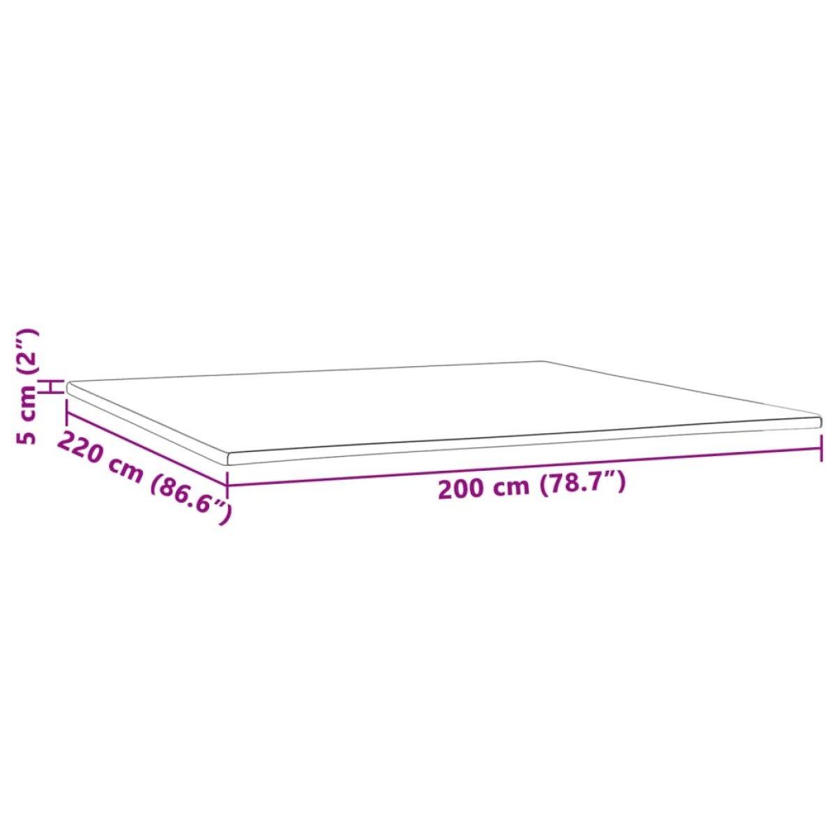 vidaXL Ανώστρωμα 200x220x5 εκ.