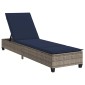 vidaXL Ξαπλώστρα με Μαξιλάρια Γκρι 55x200x25,5 εκ. από Συνθετικό Ρατάν