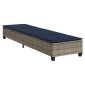 vidaXL Ξαπλώστρα με Μαξιλάρια Γκρι 55x200x25,5 εκ. από Συνθετικό Ρατάν