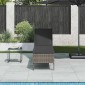 vidaXL Ξαπλώστρα με Μαξιλάρι Γκρι 55x200x44 εκ. από Συνθετικό Ρατάν