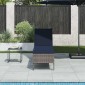 vidaXL Ξαπλώστρα με Μαξιλάρι Γκρι 55x200x44 εκ. από Συνθετικό Ρατάν
