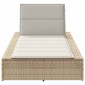 vidaXL Ξαπλώστρα με αιωρούμενο μαξιλάρι Μπεζ Poly Rattan