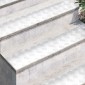 vidaXL Σκαλοπάτι 4 τμχ. 100 x 20 cm Ασημί Αλουμίνιο Ορθογώνιος