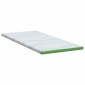 vidaXL Στρώμα επικάλυψης Λευκό και Πράσινο 120 x 200 cm
