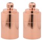 vidaXL Λαμπτήρες 2 τεμάχια Rose Gold E27
