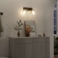 vidaXL Σποτ οροφής Μαύρο 33 x 13 x 26 εκ. Γυαλί και Μέταλλο