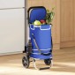 vidaXL Καρότσι Αγορών Μπλε 36,5 x 46,5 x 100,5 εκ Ύφασμα Oxford