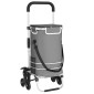 vidaXL Καρότσι Αγορών Γκρι 47 x 39 x 100,5 εκ. Ύφασμα Oxford