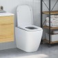 vidaXL Λεκάνη Λευκό 47,5 x 35 x 3,6 εκ Δυροπλάστ