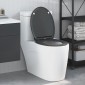 vidaXL Λεκάνη Ανθρακί 45,5 x 37,5 x 3,8 εκ. Δυροπλάστ