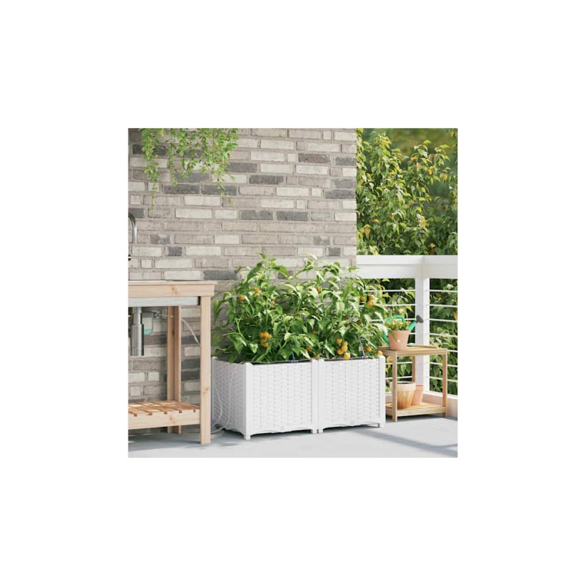 vidaXL Γλάστρα Κήπου 2 τμχ. Λευκό 80 x 40 x 37,5 cm PP