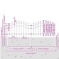 vidaXL Φράχτης Κήπου WOERDEN 240 x 115 cm Ατσάλι με Επικάλυψη Πούδρας