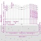 vidaXL Φράχτης Κήπου WOERDEN 240 x 190 cm Ατσάλι με Επικάλυψη Πούδρας