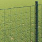 vidaXL Φράχτης Εuro 0,6 x 50 μ. Σίδηρος με επικάλυψη PVC Πράσινο
