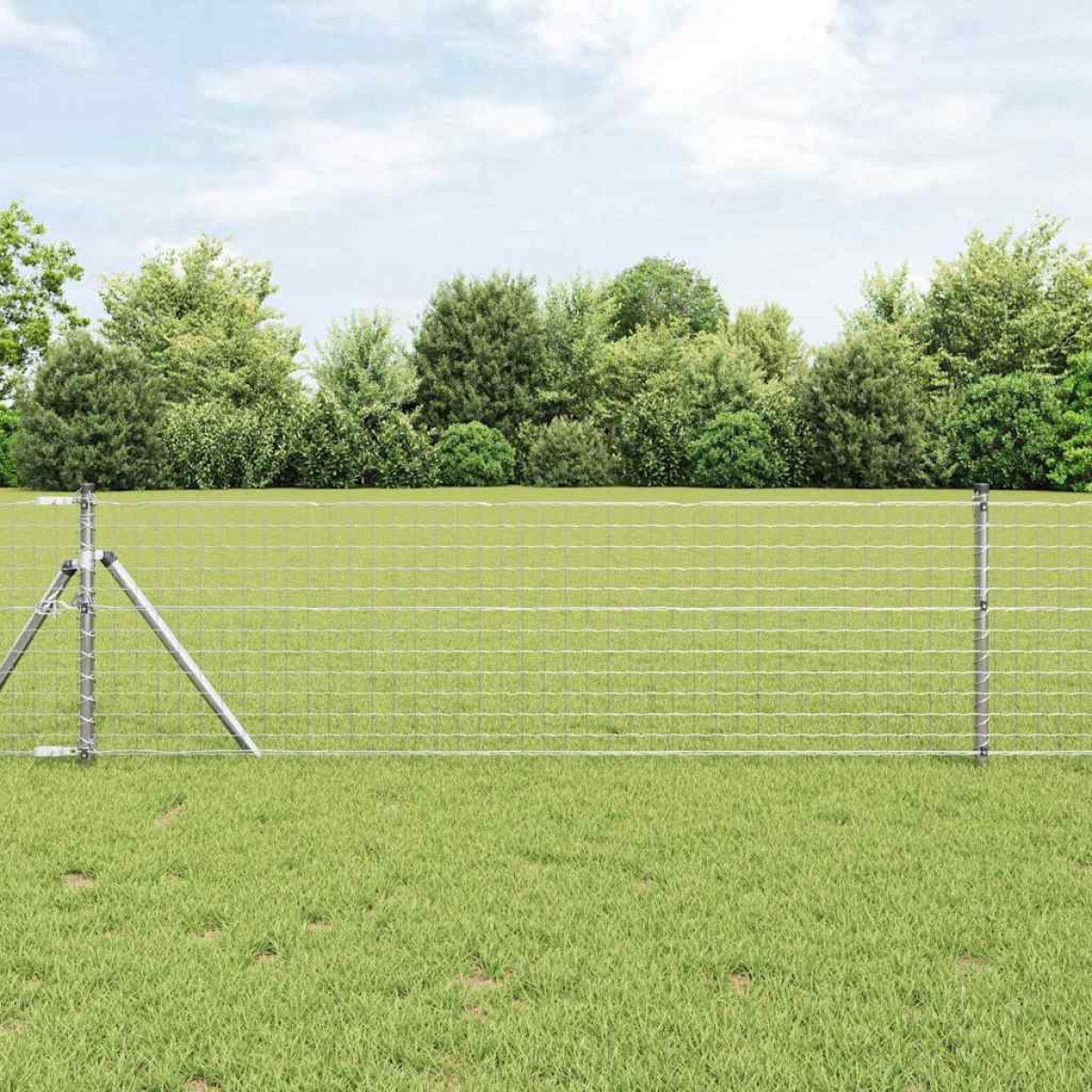 vidaXL Φράχτης Εuro 0,8 x 25 m Σίδηρος με επικάλυψη PVC