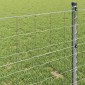 vidaXL Φράχτης Εuro 0,6 x 50 μ. Σίδηρος με επικάλυψη PVC