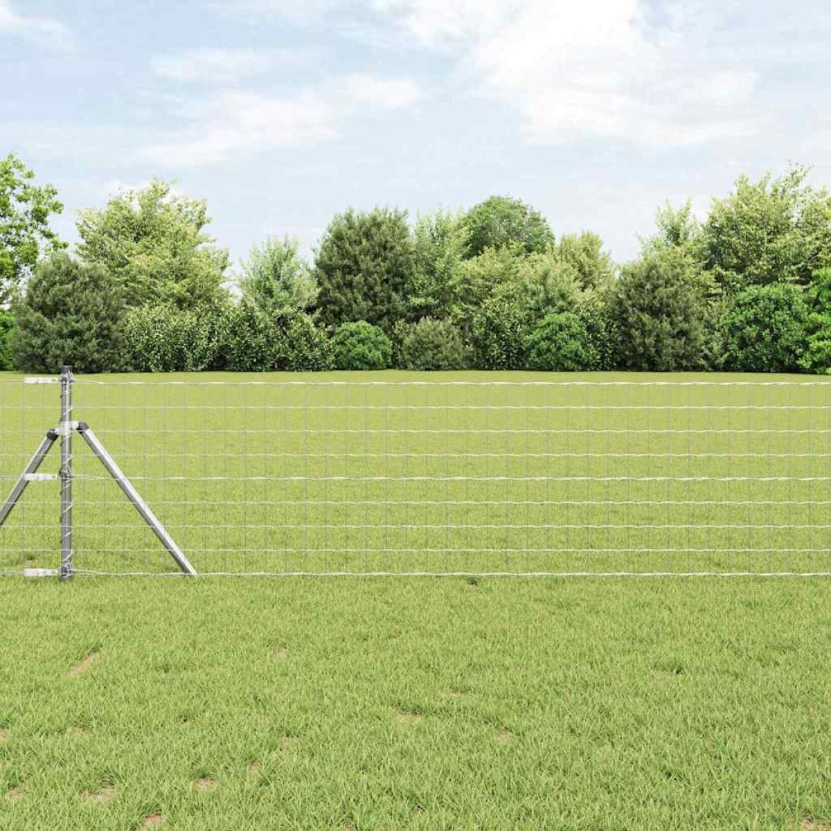 vidaXL Φράχτης Εuro 0,8 x 10 m Σίδηρος με επικάλυψη PVC