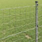 vidaXL Φράχτης Εuro 1,6 x 10 m Σίδηρος με επικάλυψη PVC