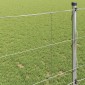 vidaXL Άγριο Φράχτη 1000 x 100 x 0,18 εκ Σίδερο Ζεστός Γαλβανισμένος