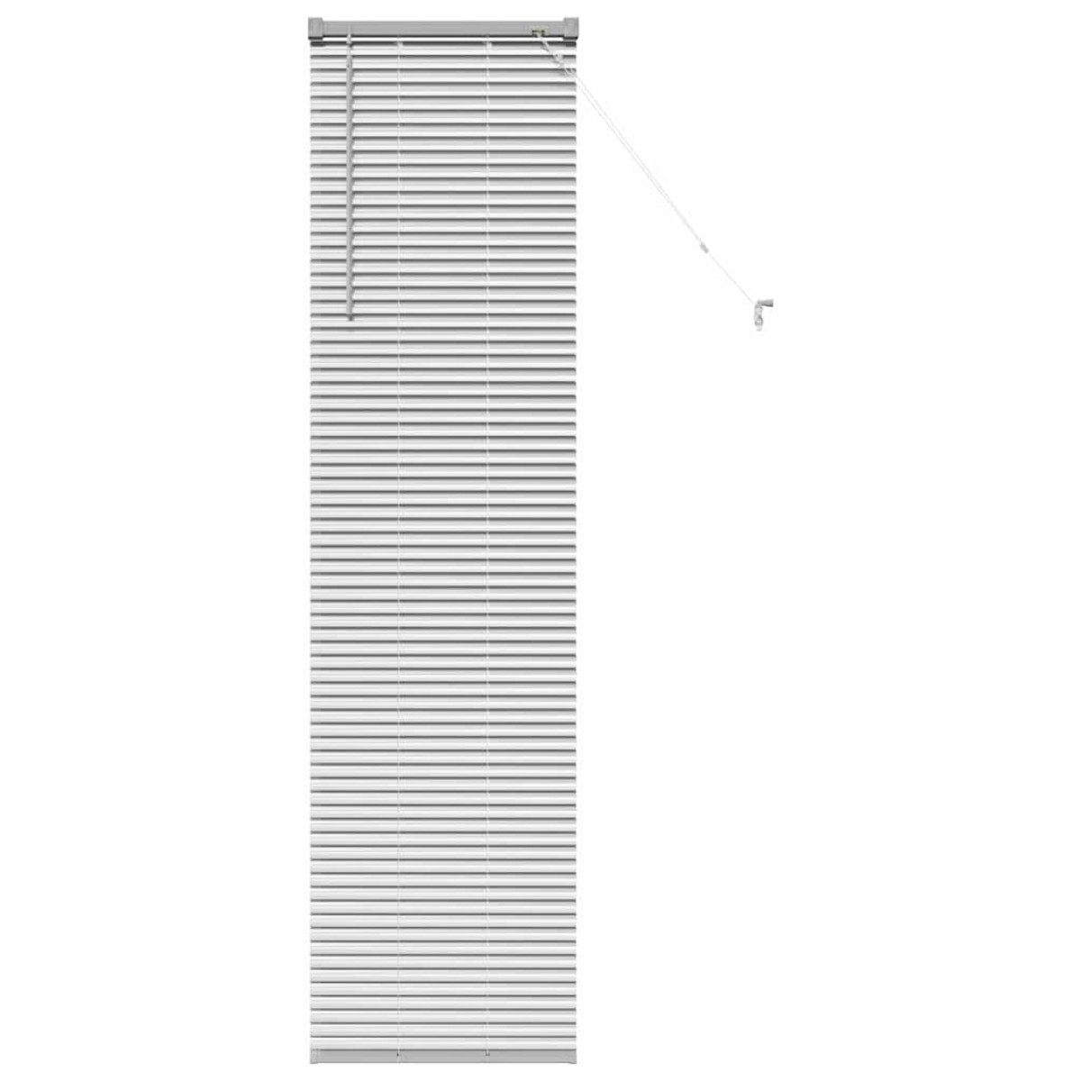vidaXL Βενετσιάνικες Ρόδες Ασημί 175 x 50 εκ Αλουμίνιο