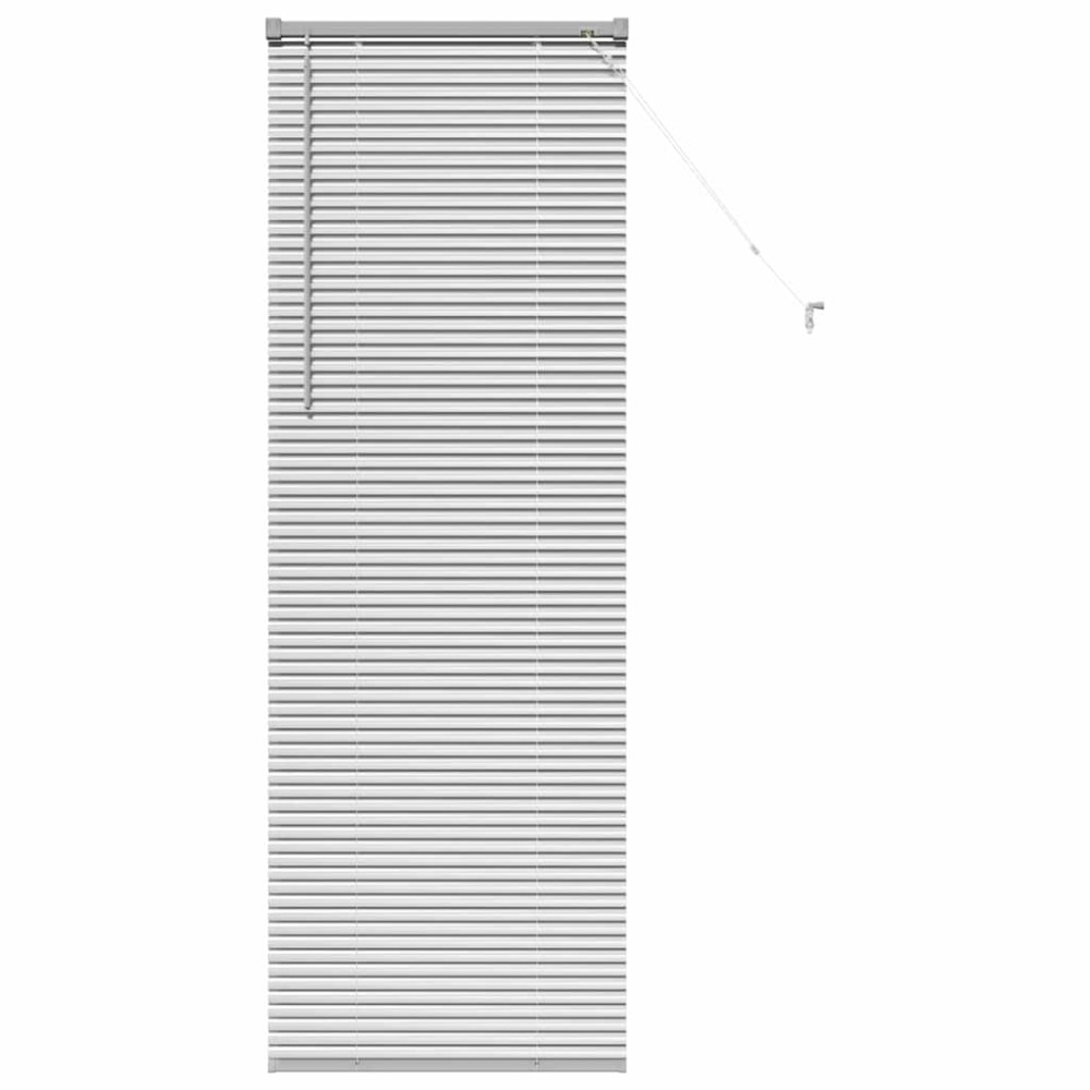 vidaXL Βενετσιάνικες Ρόδες Ασημί 175 x 55 εκ Αλουμίνιο