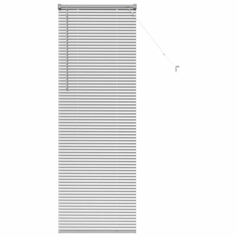 vidaXL Βενετσιάνικες Ρόδες Ασημί 175 x 65 εκ Αλουμίνιο