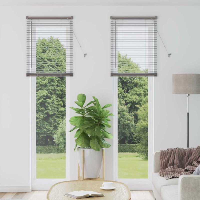vidaXL Βενετσιάνικες Ρόδες Ασημί 220 x 65 εκ Αλουμίνιο