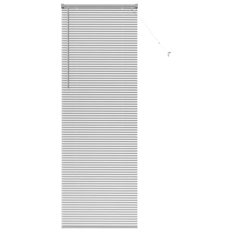 vidaXL Βενετσιάνικες Ρόδες Ασημί 220 x 75 εκ Αλουμίνιο