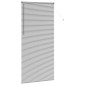 vidaXL Βενετσιάνικες Ρόδες Ασημί 220 x 100 cm Αλουμίνιο