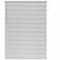 vidaXL Βενετσιάνικες Ρόδες Ασημί 220 x 160 εκ Αλουμίνιο