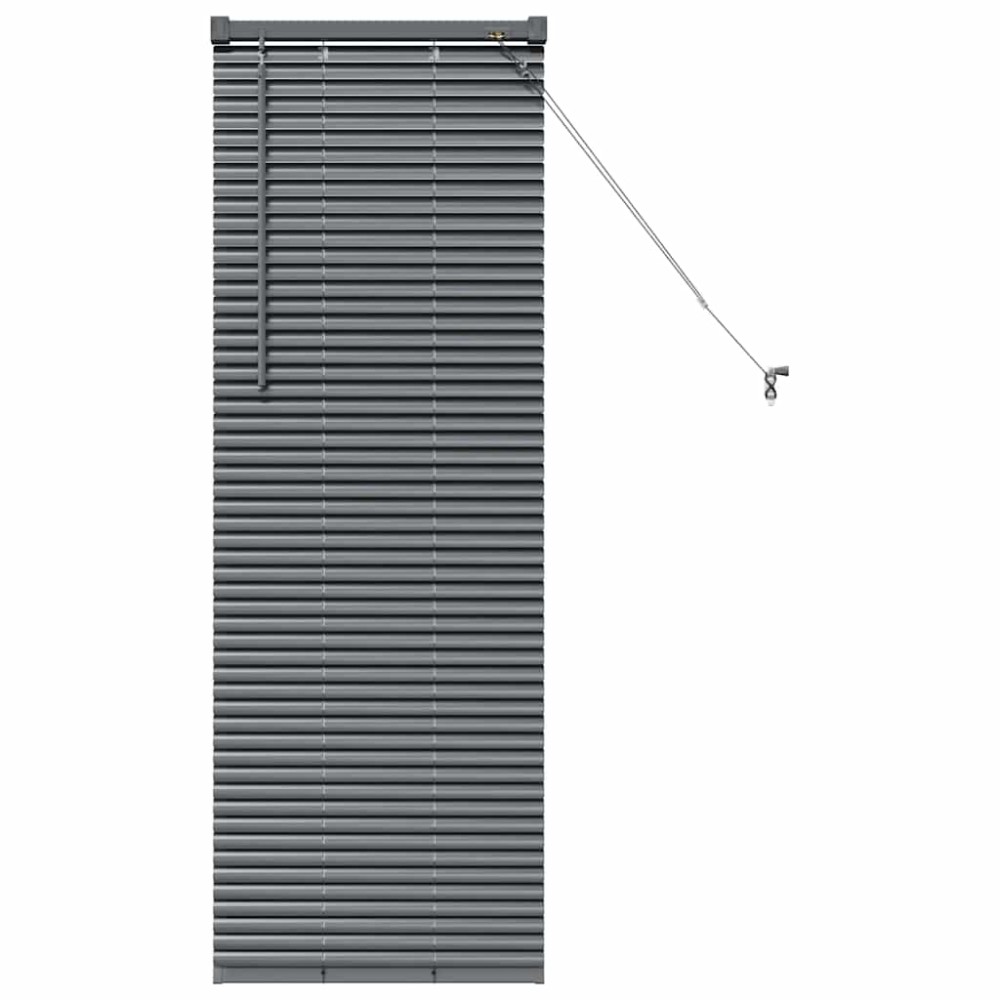 vidaXL Βενετσιάνικες Ρόδες Σκούρο Γκρι 130 x 45 εκ Αλουμίνιο