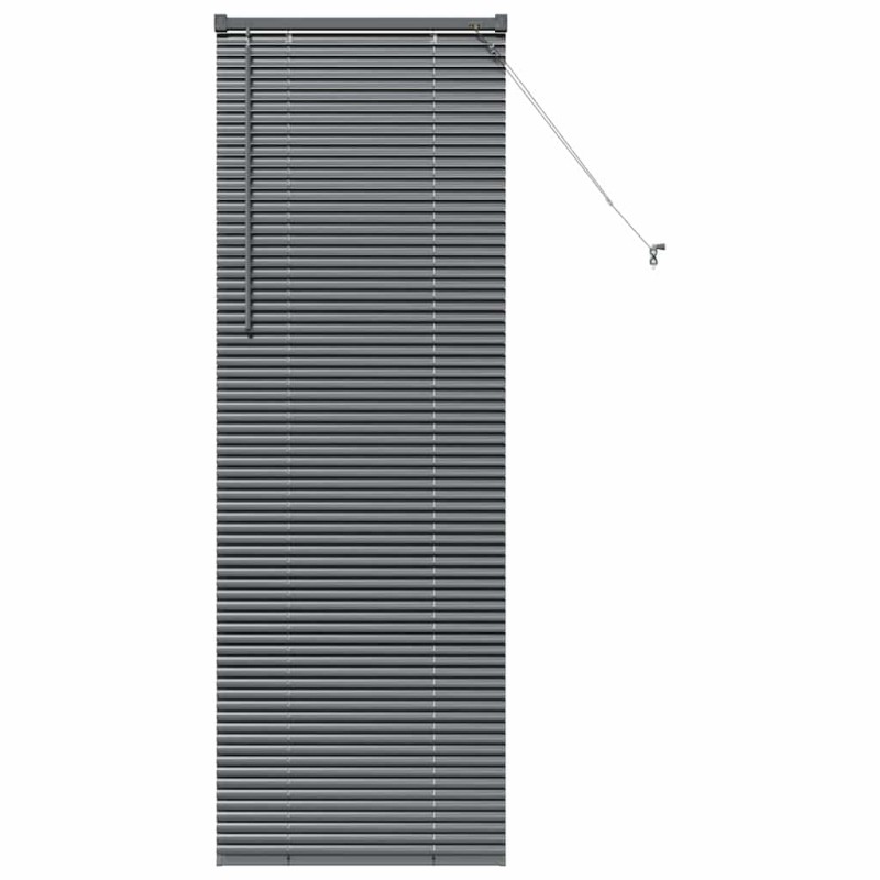 vidaXL Βενετσιάνικες Ρόδες Σκούρο Γκρι 175 x 55 εκ Αλουμίνιο