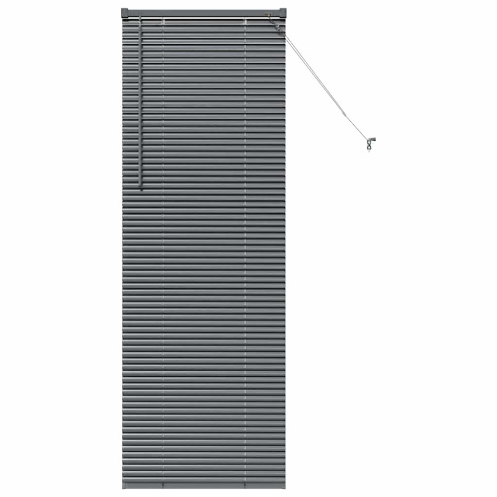 vidaXL Βενετσιάνικες Ρόδες Σκούρο Γκρι 175 x 65 εκ Αλουμίνιο