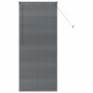 vidaXL Βενετσιάνικες Ρόδες Σκούρο Γκρι 175 x 80 εκ Αλουμίνιο