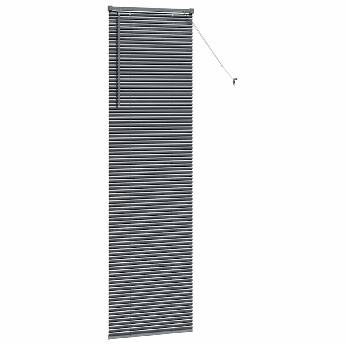 vidaXL Βενετσιάνικες Ρόδες Σκούρο Γκρι 220 x 55 εκ Αλουμίνιο