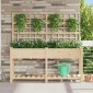 vidaXL Γλάστρα Κήπου Μπεζ 161 x 46 x 152,5 εκ. Στερεό Ξύλο Πεύκου