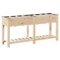 vidaXL Γλάστρα Κήπου Μπεζ 161,5 x 45 x 76,5 εκ. Στερεό Ξύλο Πεύκου