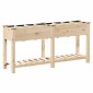 vidaXL Γλάστρα Κήπου Μπεζ 161,5 x 45 x 76,5 εκ. Στερεό Ξύλο Πεύκου