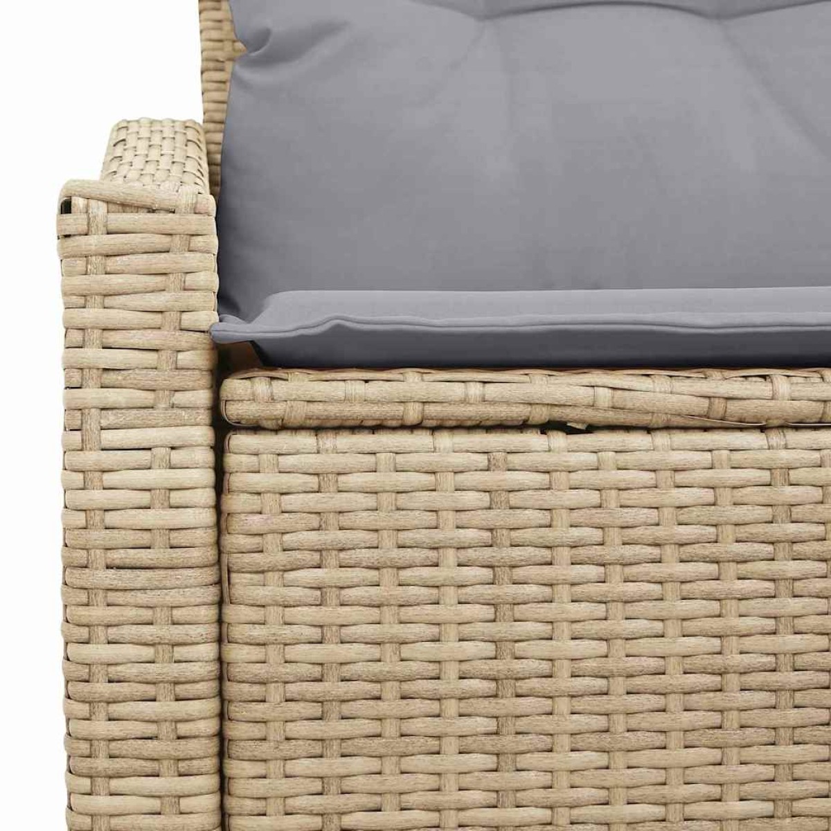 vidaXL Καναπές Κήπου με μαξιλάρι 123 x 62 x 69 εκ συνθετικό ρατάν