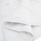 vidaXL Χειμερινό Παπλωματοθήκη 200 x 220 cm Χειμώνας Φτερό Λευκό
