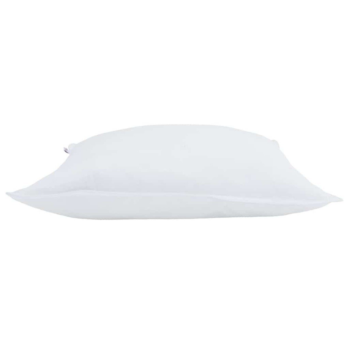 vidaXL Μαξιλάρι 2 τμχ. 60 x 60 cm Φτερό Λευκό