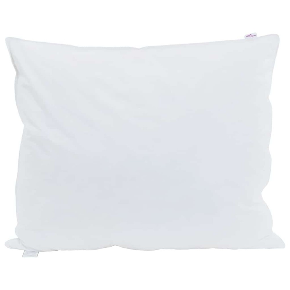 vidaXL Μαξιλάρι 2 τμχ. 60 x 70 cm Φτερό Λευκό
