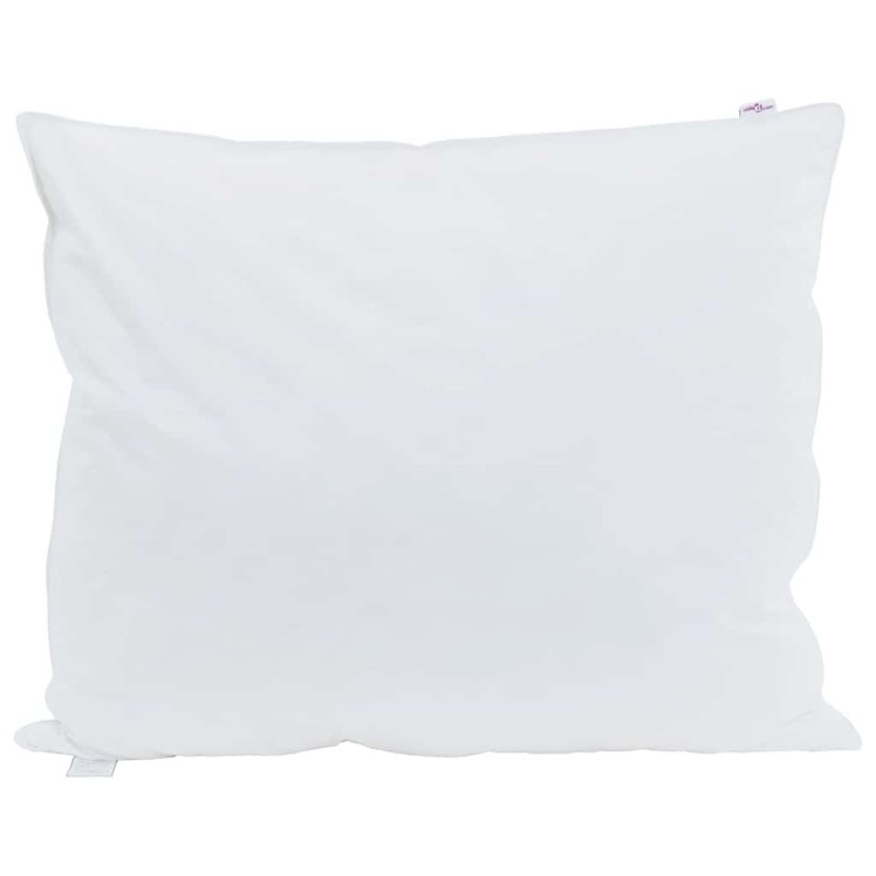 vidaXL Μαξιλάρι 2 τμχ. 60 x 70 cm Φτερό Λευκό