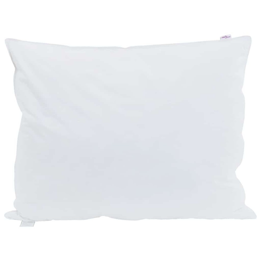vidaXL Μαξιλάρι 2 τμχ. 60 x 80 cm Φτερό Λευκό