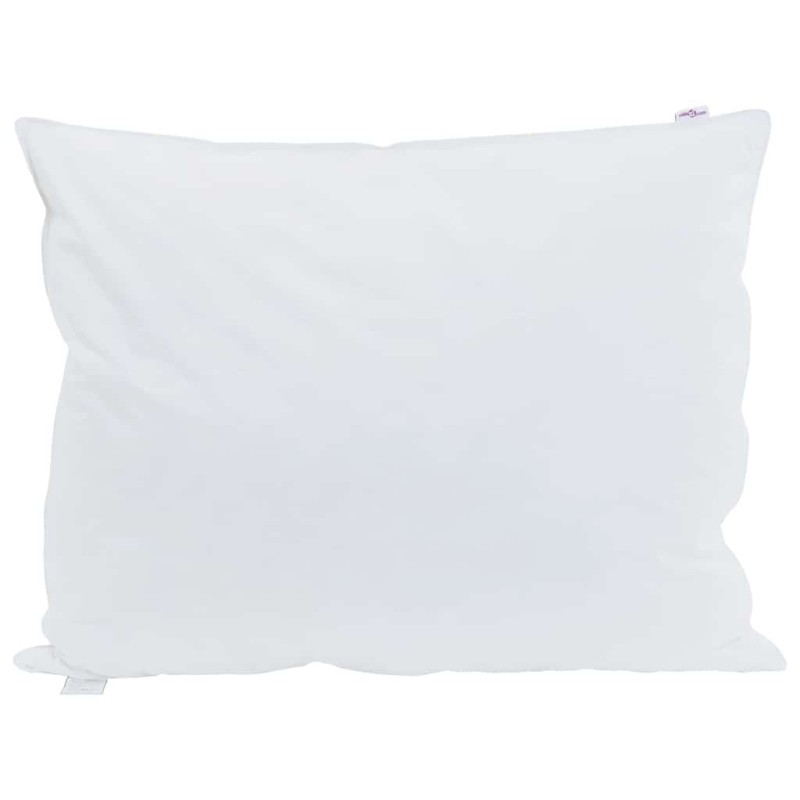 vidaXL Μαξιλάρι 2 τμχ. 60 x 80 cm Φτερό Λευκό