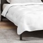 vidaXL Χειμερινό Παπλωματοθήκη 220 x 135 x 5 εκ. Χειμώνας Πολυεστέρας